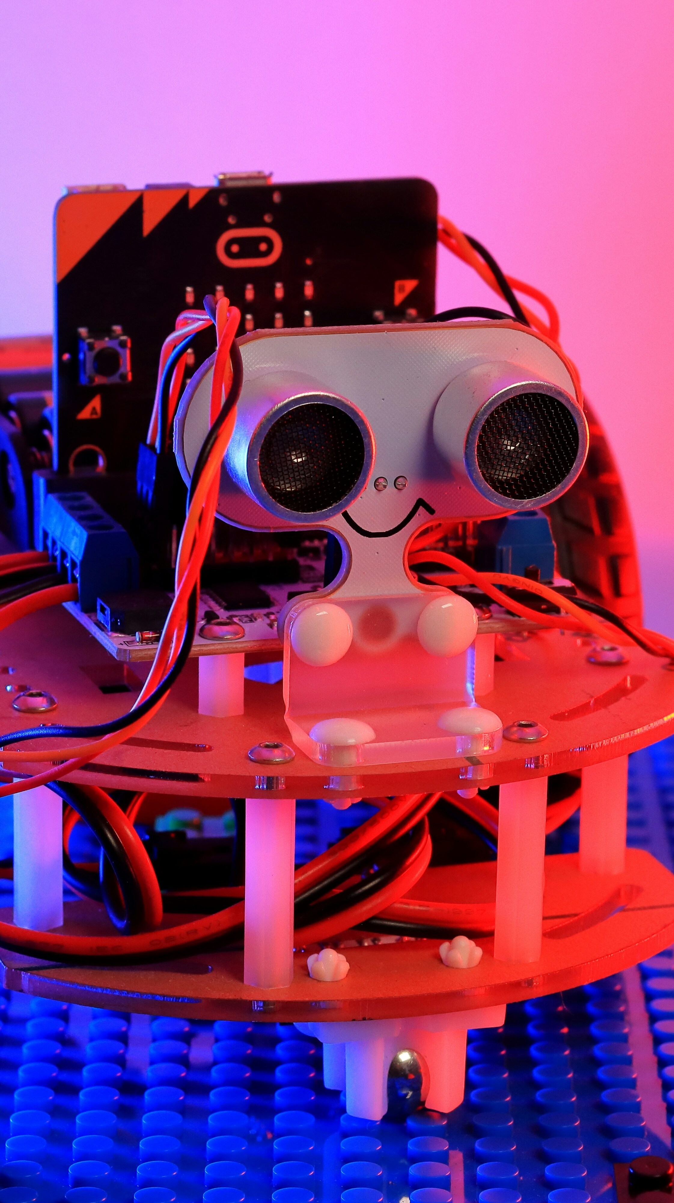 Edge AI & Sensor Integration